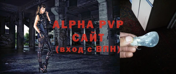 спиды Ельня