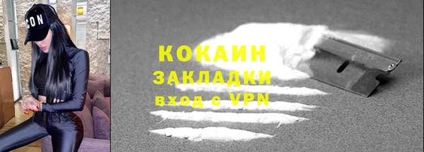 спиды Ельня