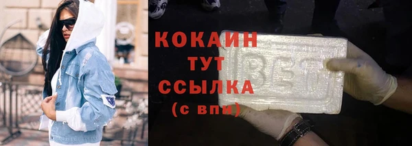 спиды Ельня