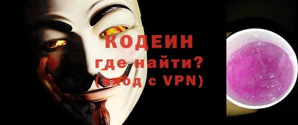 спиды Ельня