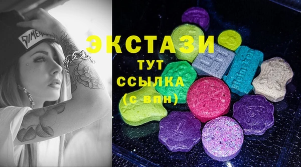 спиды Ельня