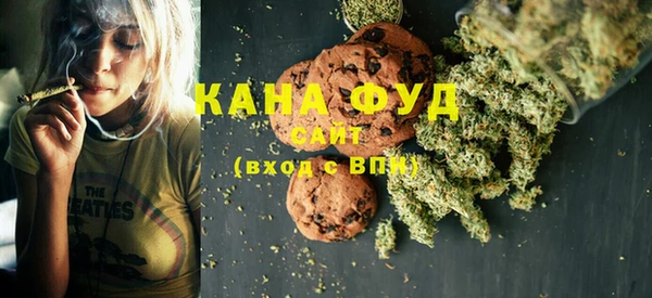 спиды Ельня