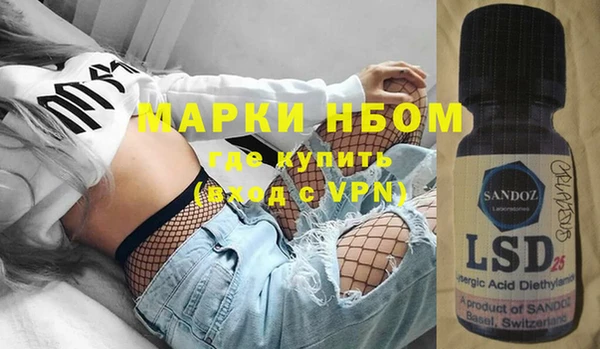 спиды Ельня