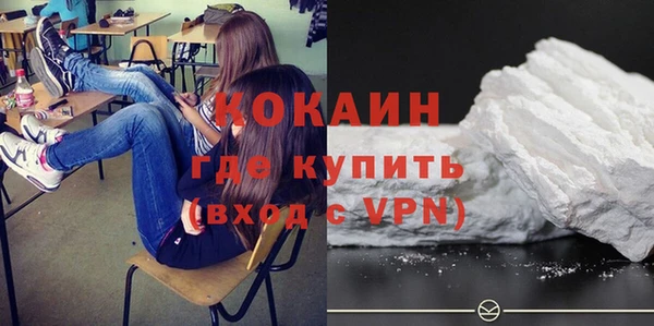 спиды Ельня