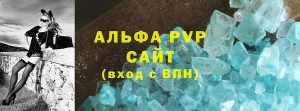 спиды Ельня