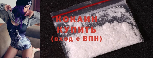 мет Елизово