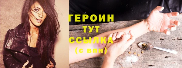 спиды Ельня