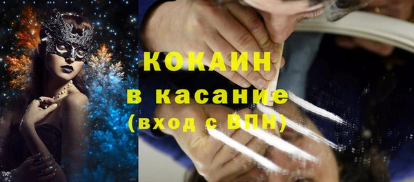 мет Елизово