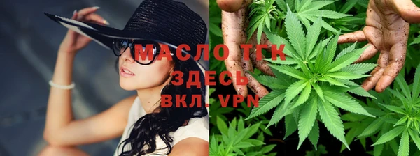 мет Елизово