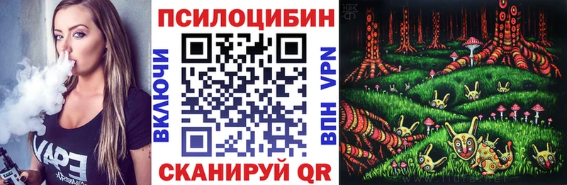 Купить где  Ужур  Галлюциногенные грибы Psilocybine cubensis 